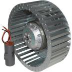  MOTOTURBINE 