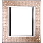  AXO SW PLAQUE LIGHT PEACH 3+3M 