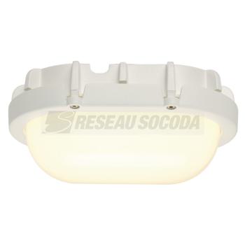  TERANG LED blanc 11W 