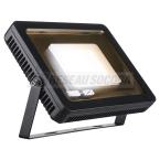  SPOODI 31 noir 60W LED 3000K 