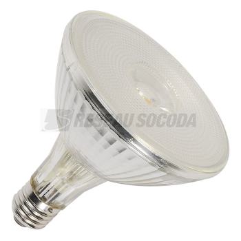  PAR38, 18W, COB LED, 3000K, 38 