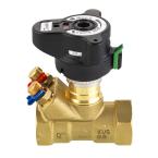  MSV-B DN15 petit dbit G1/2" F 