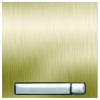  MODULE NEXA INOX GOLD 1 BP 1 R 