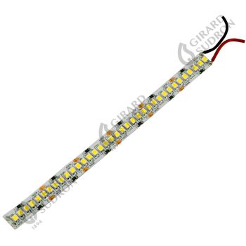  Carme  Ruban LED 5000x10x3 24V 