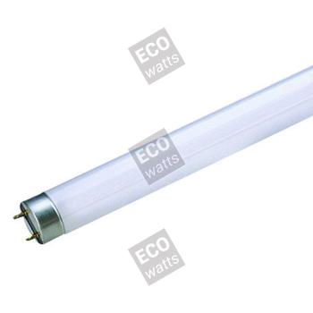  Tube Fluo T8 G13 1214mm 36W 40 