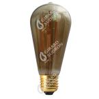  Edison Filament LED 4W E27 210 