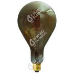  Ampoule Gante Filament LED TWI 