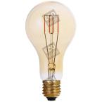  Ecowatts  Big bulb LED filamen 