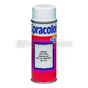  Kit peinture Ral 7042-Ral 9010 