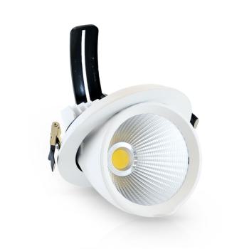  LED PLAF CIRC ORIEN 20 W 4000K 