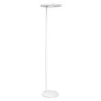  HCL WF PANAN FLOOR LAMP TW 