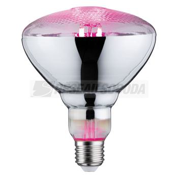  LED Fil Plant PAR38 E27 6,5W 