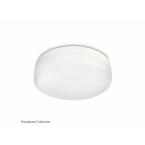  Baume ceiling lamp white 2x4.5 