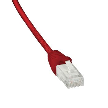  CORDON UUTP CAT6 1m Rouge 