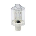  LED BA15D - STEADY LIGHT 