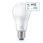  LAMPE LED E27 WIZ RGB+TW 