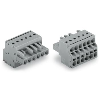  Connect fem CCS 5mm 6 p/gris/p 