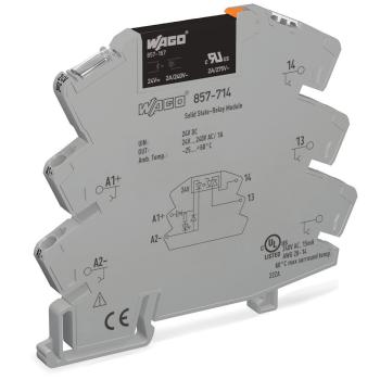  Module avec relais statique 24 