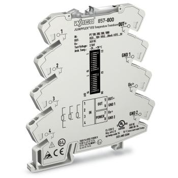  Convertisseur pour sonde RTD 